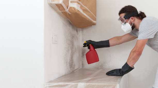 Professional Bathroom Mold Removal technician working in Watchung, NJ