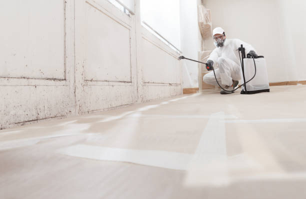 24/7 Emergency Bathroom Mold Removal experts in Watchung, NJ